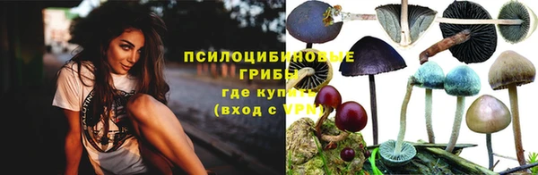 ГАЛЛЮЦИНОГЕННЫЕ ГРИБЫ Алексеевка