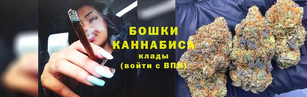 ГАЛЛЮЦИНОГЕННЫЕ ГРИБЫ Алексеевка