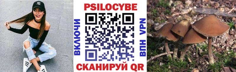 Псилоцибиновые грибы мухоморы  MEGA зеркало  Апатиты 